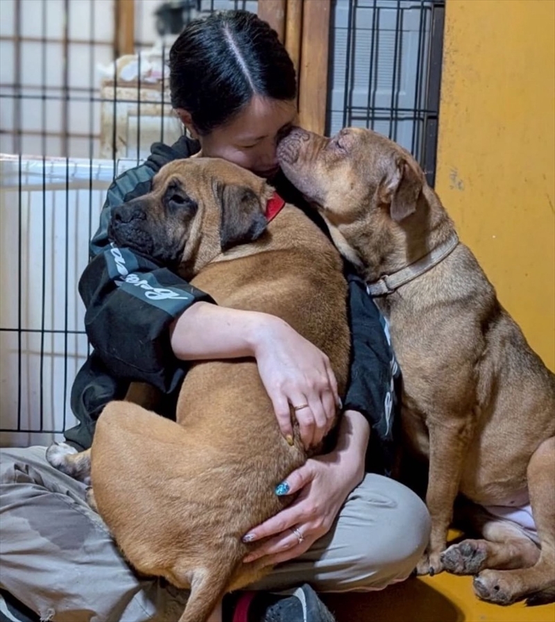 犬猫終生ホームについて