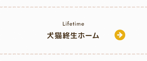 bnrhalf_lifetime
